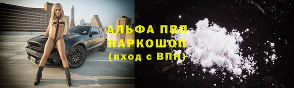 стаф Ельня