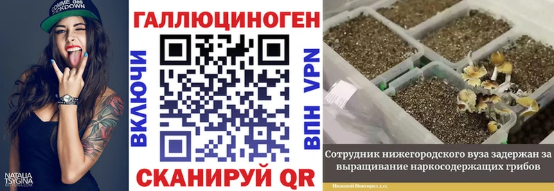 Галлюциногенные грибы GOLDEN TEACHER  кракен tor  Мариинский Посад  купить закладку 